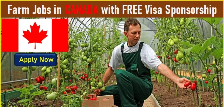 Farm Worker Jobs in Canada with Visa Sponsorship