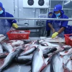 Fish Processing Jobs in Canada With Visa Sponsorship For Foreigners