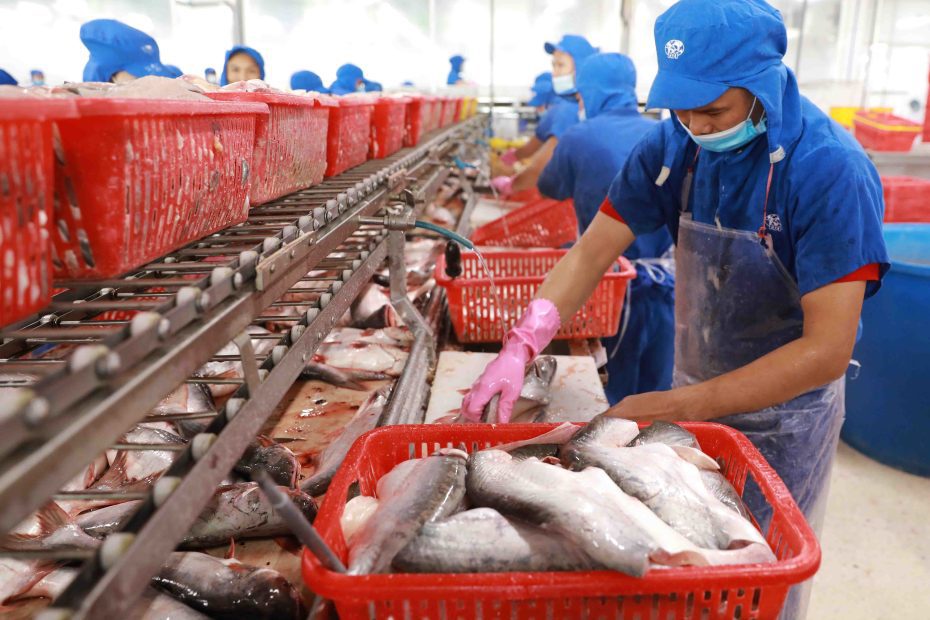 Fish Processing Worker Jobs in UK With Visa Sponsorship For Foreigners
