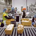 Food Processing Jobs in Canada With Visa Sponsorship For Foreign Workers