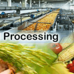 Food Processing Worker Jobs in UK For Foreign Workers
