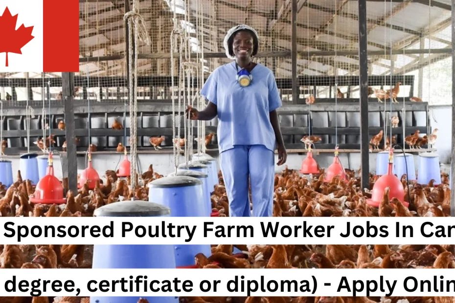 Poultry Farm Worker Jobs in Canada With Visa Sponsorship For Foreign Workers