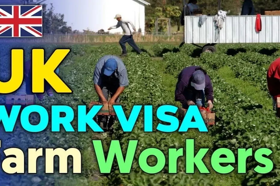 Top 10 Highest-Paying Agriculture Jobs in UK With Visa Sponsorship For Foreigners