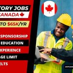 Can You Work In a Factory? Workers Are Needed In Canada With Visa Sponsorships