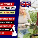 General Farm Worker Jobs in UK with Work Permit and Work Visa Sponsorships - APPLY