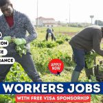 Farm Worker Jobs In UK