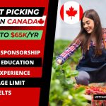 Fruits Picking Jobs In Canada With Visa Sponsorship | High Pay, Quick Hiring, No Experience