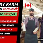 Dairy Farm Worker Jobs In Canada🇨🇦 with Visa Sponsorship | No Experience Required!