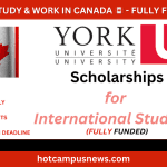 York University Scholarships